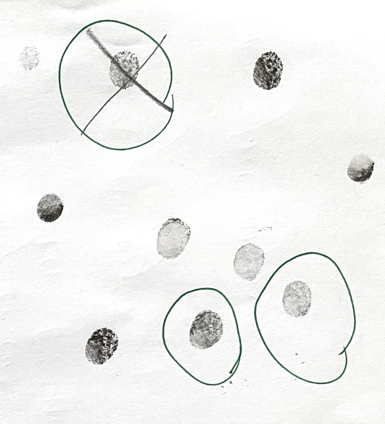 Chloe - Afbeelding 4